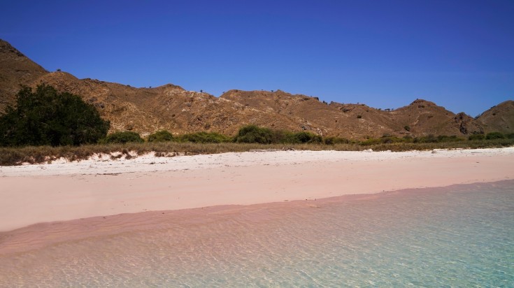 Pink beach is a famous Indonesia beach