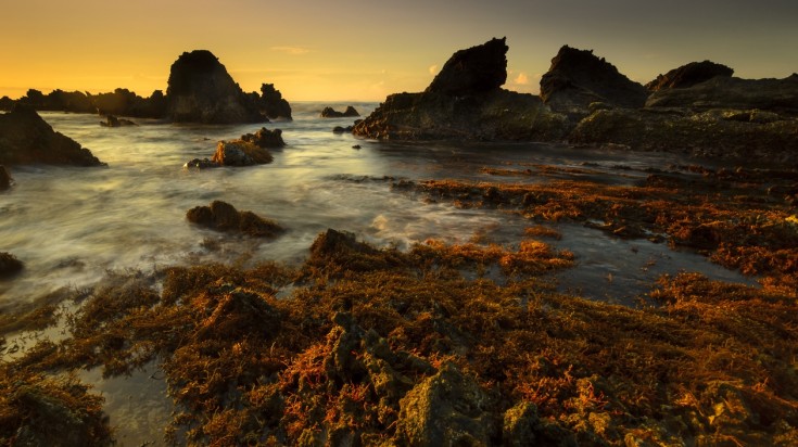 Sawarna beach is a Indonesia beach famous for the coral reef