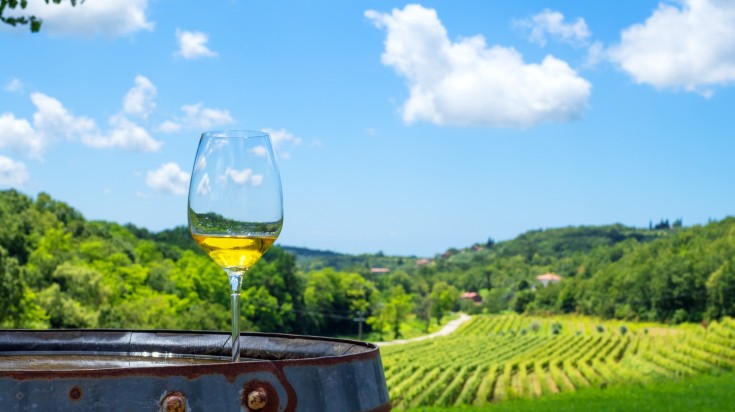 Grab a glass of wine and explore the vineyards in Croatia in September.