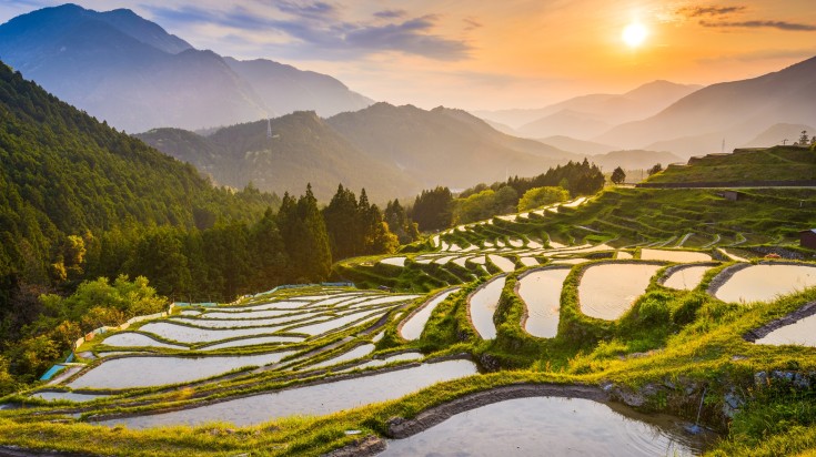 Rice terraces at sunset in Kumano, Japan.