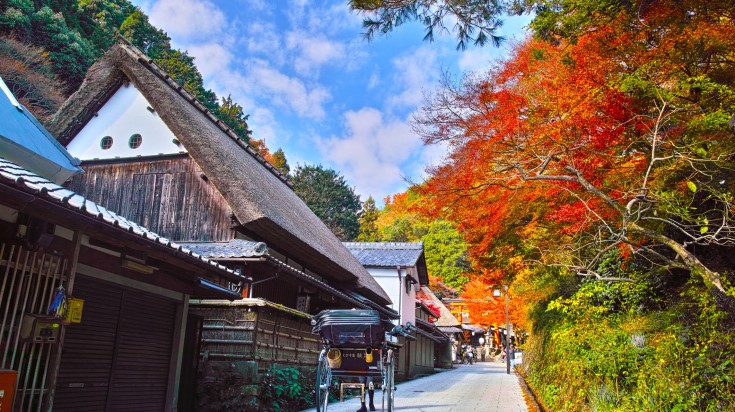 Scenery of autumn leaves of Oku Saga in Kyoto City in Japan in October.