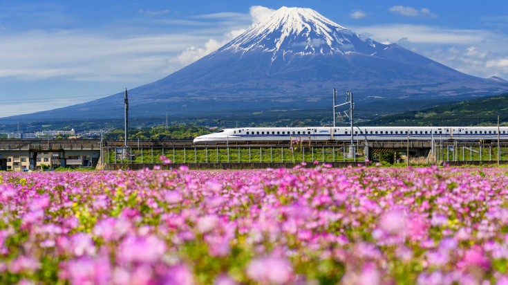 A bullet train in Shinkansen with a view of Mount Fuji and flowers.