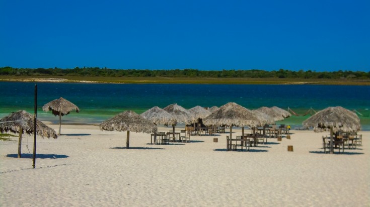 Rows of beach umbrellas on the Jericoacoara beach on a sunny day. 