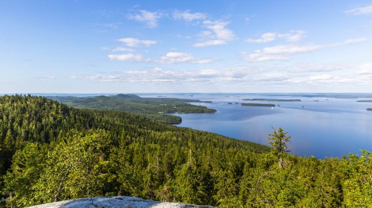 Panoramic view of Koli National Park and Pielinen lake in Finland on sunny day. Panoramic view of Koli National Park and Pielinen lake in Finland on sunny