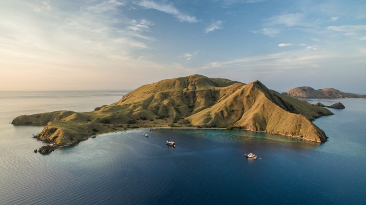 Komodo, indonesia's island is the home of the monitor lizard, Komodo Dragon