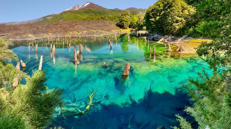 Conguillío National Park in Chile Lake District