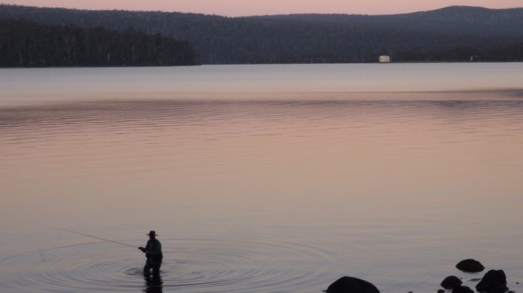 Lake St Clair is a beautiful water body surrounded by forests.