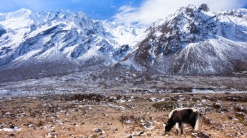 A view of Langtang National Park.