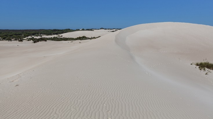 A must do activity in Kangaroo Island is sand boarding in Little Sahara