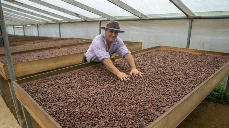 Man working in a cocoa plantation in Costa Rica.