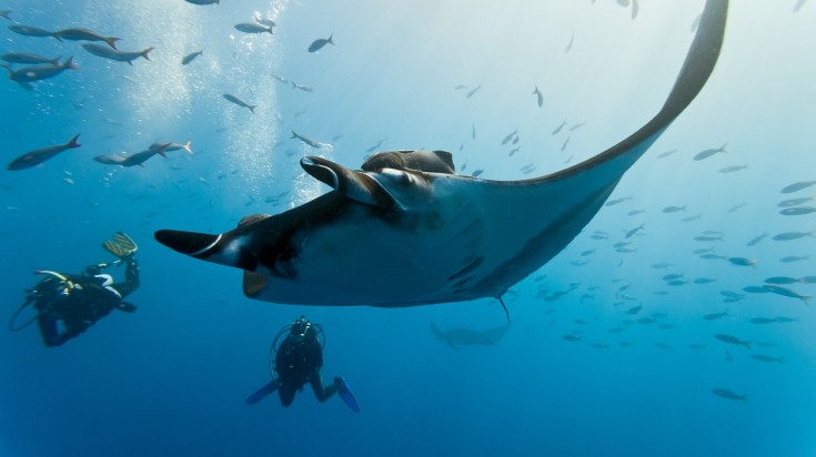 Scuba diving in Tamarindo