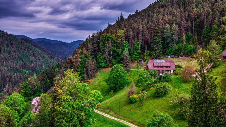 Mittelweg hiking trails is best visited during spring