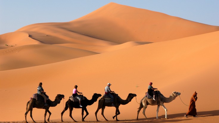 Camel Caravan in the Sahara Desert, Morocco