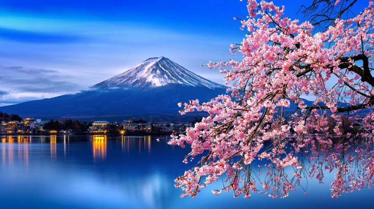 Among various things to do in Tokyo, taking a day trip to Mount Fuji is highly recommended.