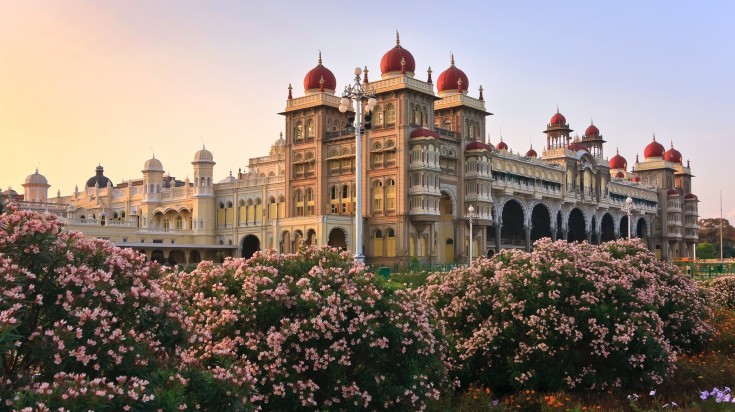 Flowers in full bloom with Mysore in the background in India.