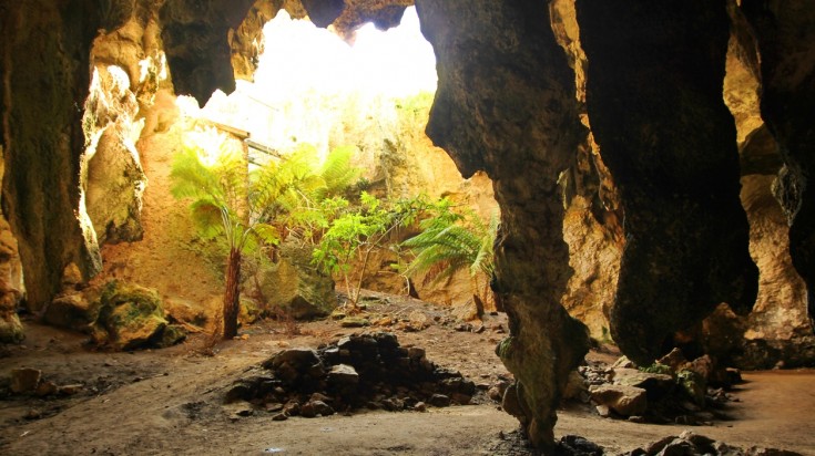 You can discover fossils, geology or bats inside the caves.