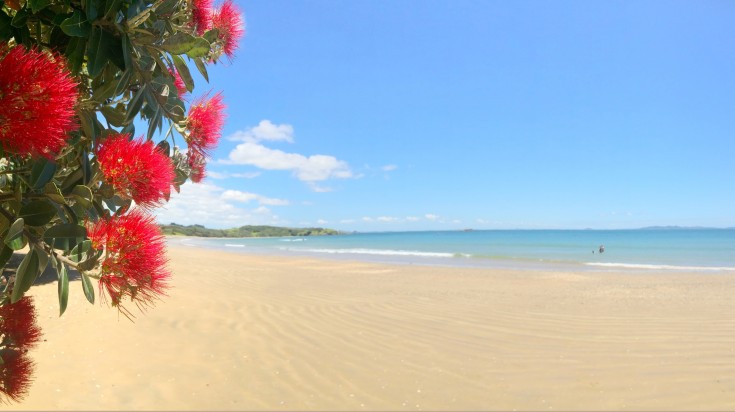 Relax on the beach and get panoramic views of the ocean in New Zealand.