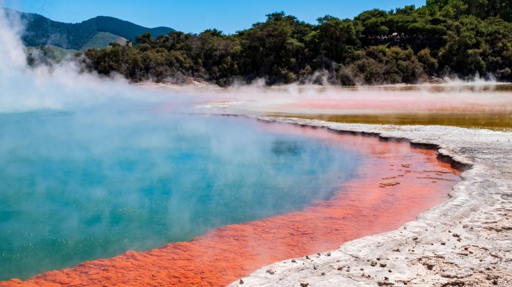 Visit the North Island for the thermal pools.