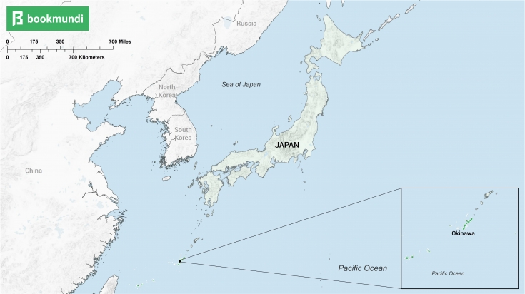 An overview map of Okinawa