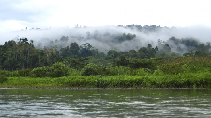 Palo Verde National Park is home to unique river wildlife in Costa Rica