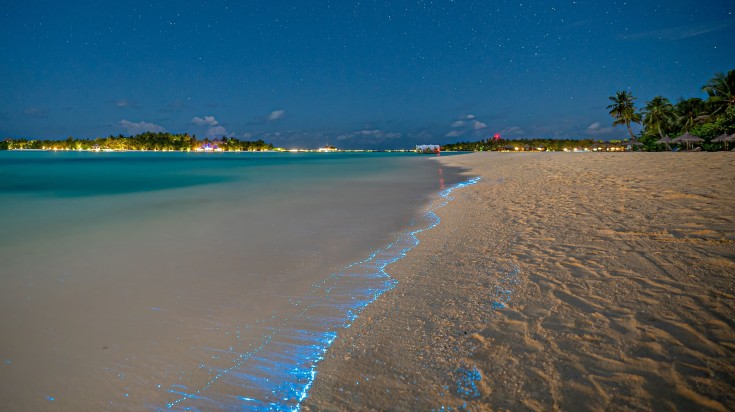 Photoplankton witnessed in the Vaadhoo island in January.