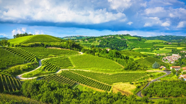 An area of rolling hills, Langhe is covered with vineyards and has a long history of wine making. Langhe is a hilly area in Piedmont famous for its wine,truffles and cheese a must visit when you're exploring Italy in a week.
