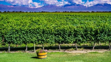 Mendoza in Argentina is a must visit place