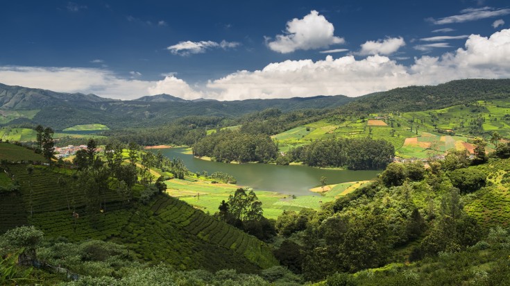 Panoramic view of tea plantations in Ooty, India.