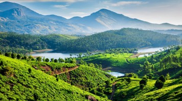 See the greenery in Munnar while spending 2 weeks in India.