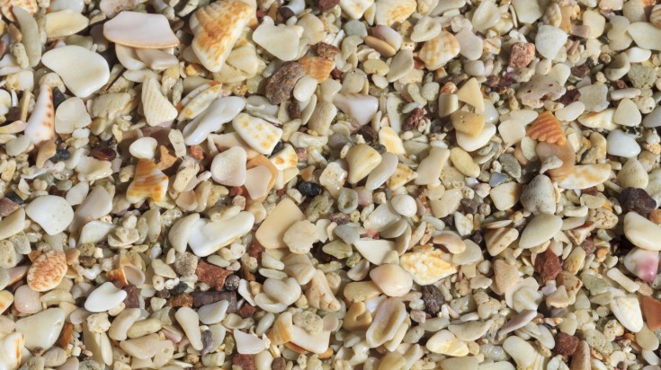 Playa Conchal in Costa Rica is a beach made up of tiny shells