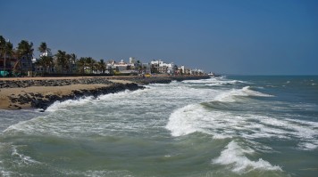 A seaside town with palm trees