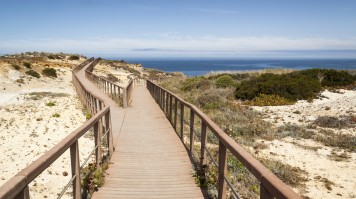wooden walkways on a sandy coast with the sea visible afar