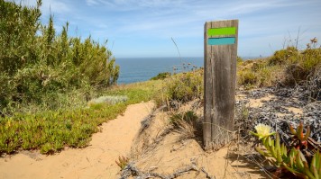 A wooden stump with green and blue mark on a sandy trail with sea in view