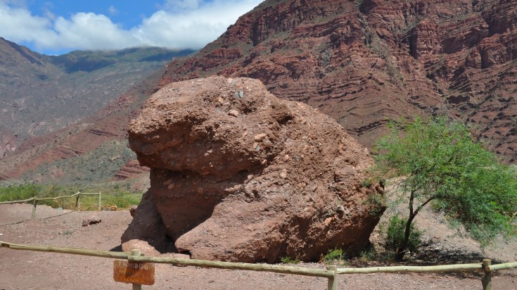 The frog at Quebrada de las Conchas