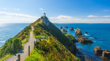 A hiking trail leading to the top of the hill at the Catlins. 