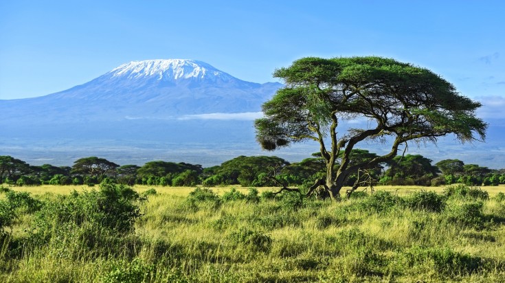 Kilimanjaro National Park