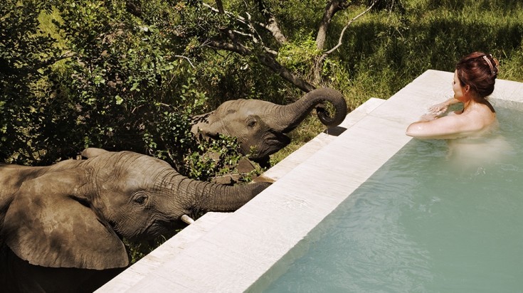 Dipping Pool in the wilderness