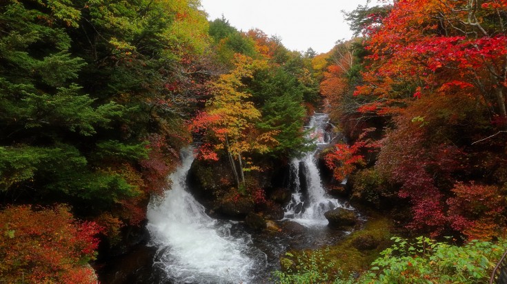 The route is quite spectacular and offers excellent views of the surrounding marshlands, mountains and the Nikko National Park.