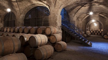 Santa Carolina barrel room in Maipo Valley