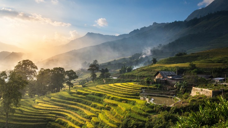 Rice paddies seen while trekking in Sapa