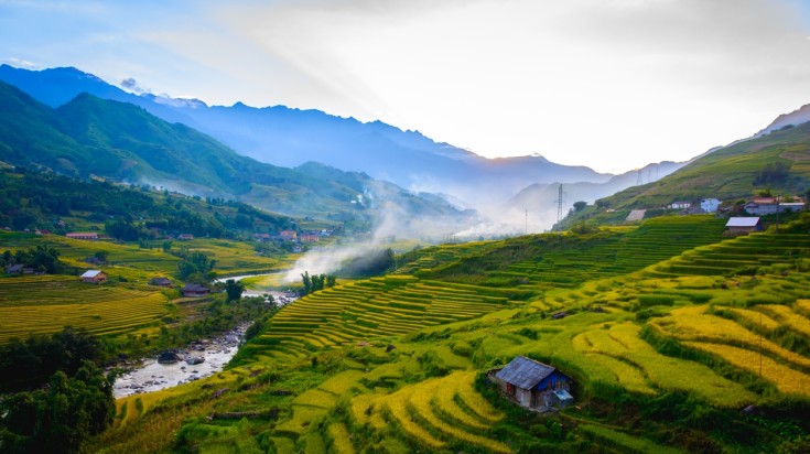 Terraced fields of Sapa in August.