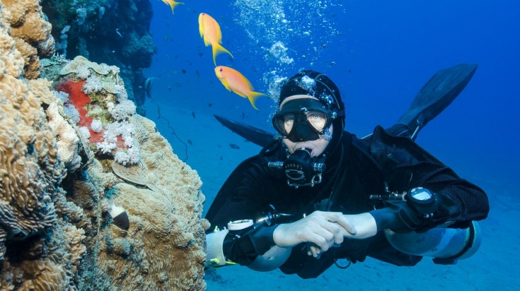 A man scuba diving in Aqaba.