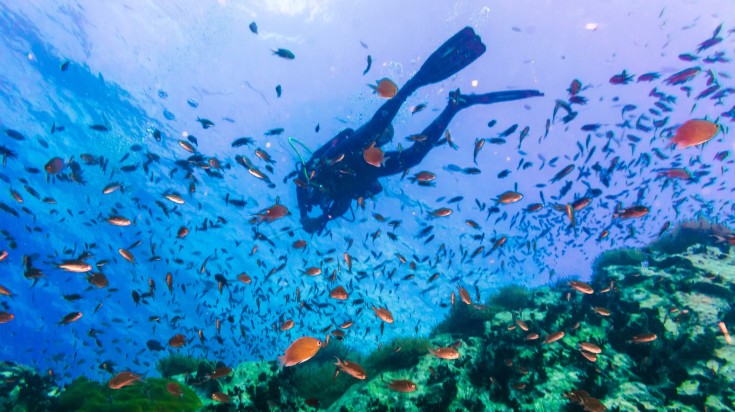 A man scuba diving on clear coral reef in clear blue water in Koh Tao.