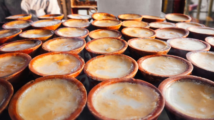 Several cups of mishti doi displayed in a sweet shop.