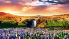 Skogafoss waterfall in south of Iceland