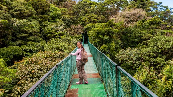 Monteverde Forest has hanging bridges linking to most areas of the park.