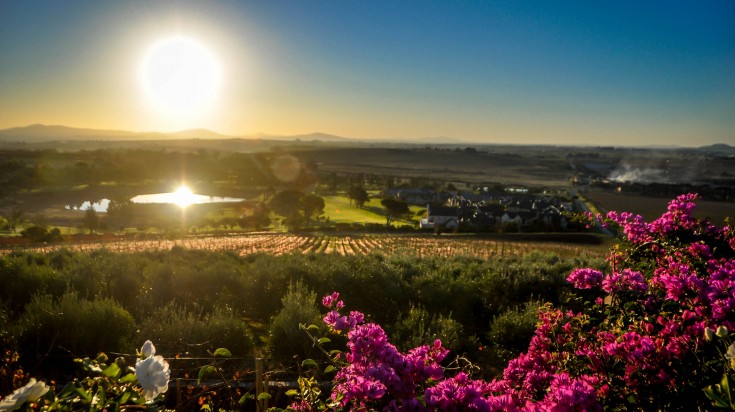 Cape Winelands is a popular destination in South Africa