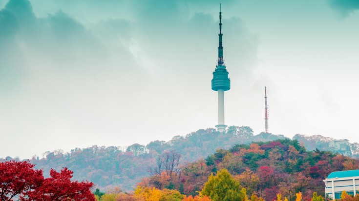 Fall trees in South Korea with Seoul Tower in the background.