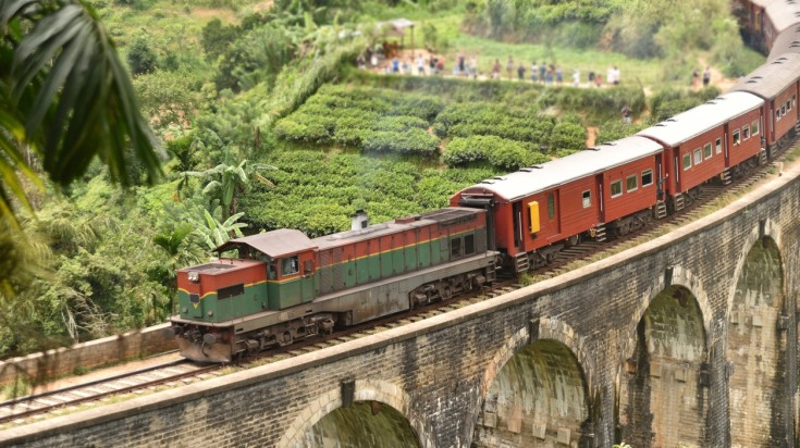 Train passing through the Nine Arch Bridge, Sri Lanka in July