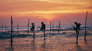 Enjoy some traditional stilt fishing in Koggala Traditional stilt fishing in Sri Lanka